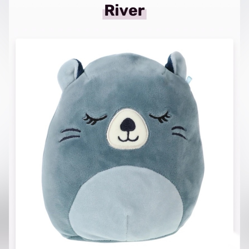 Squishmallows River The Beaver 🦫